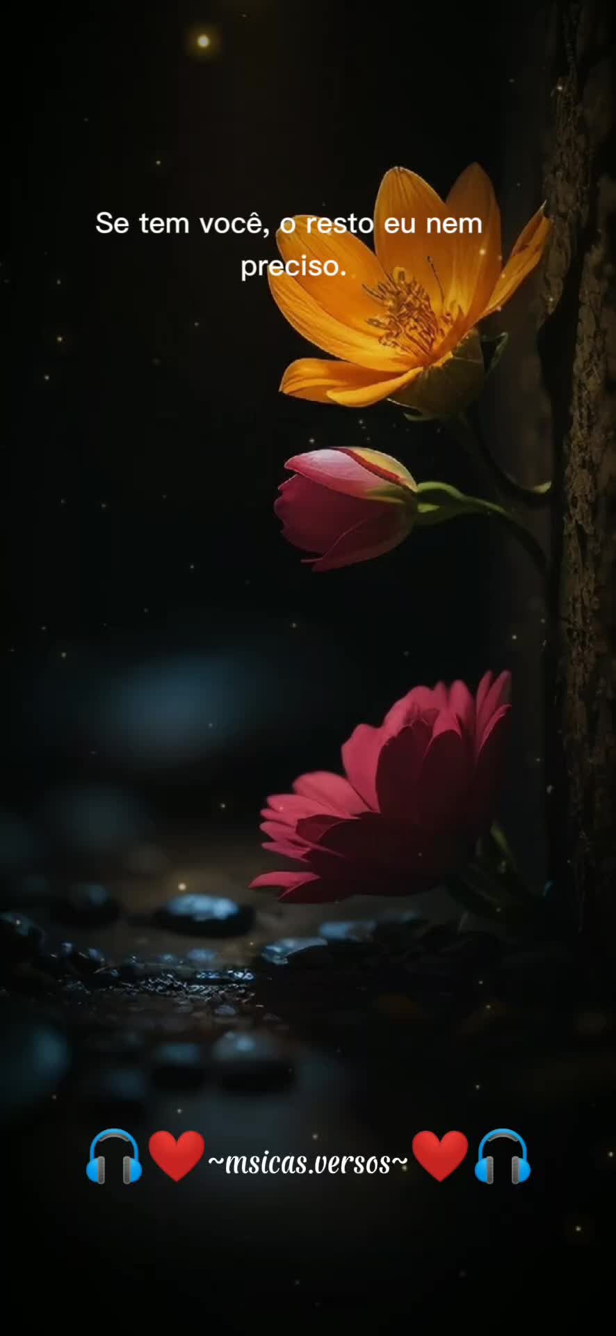 @M&uacute;sicas & Versos 🎶