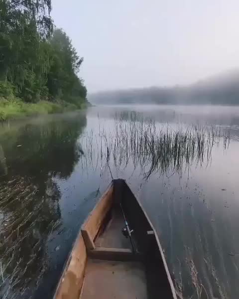 @Я твой космос