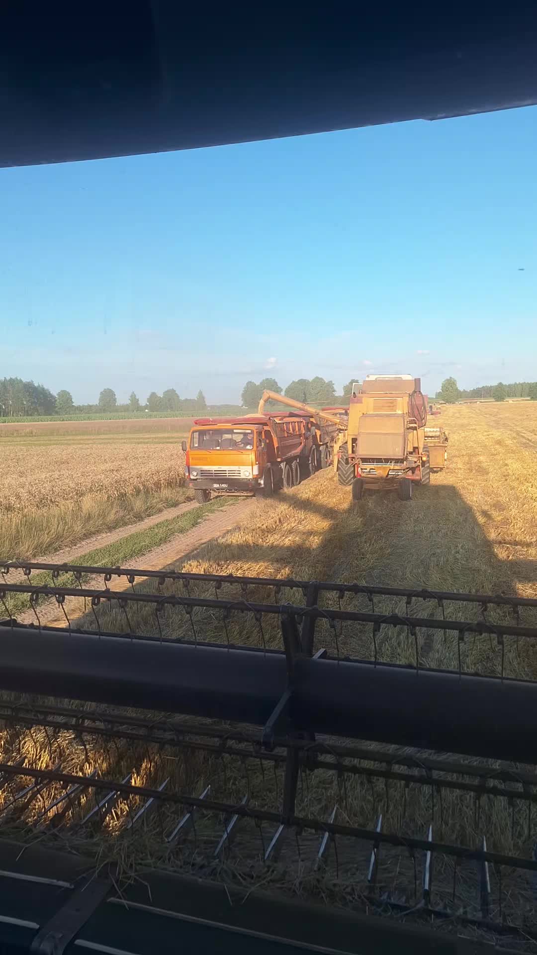 @mariuszceliński8