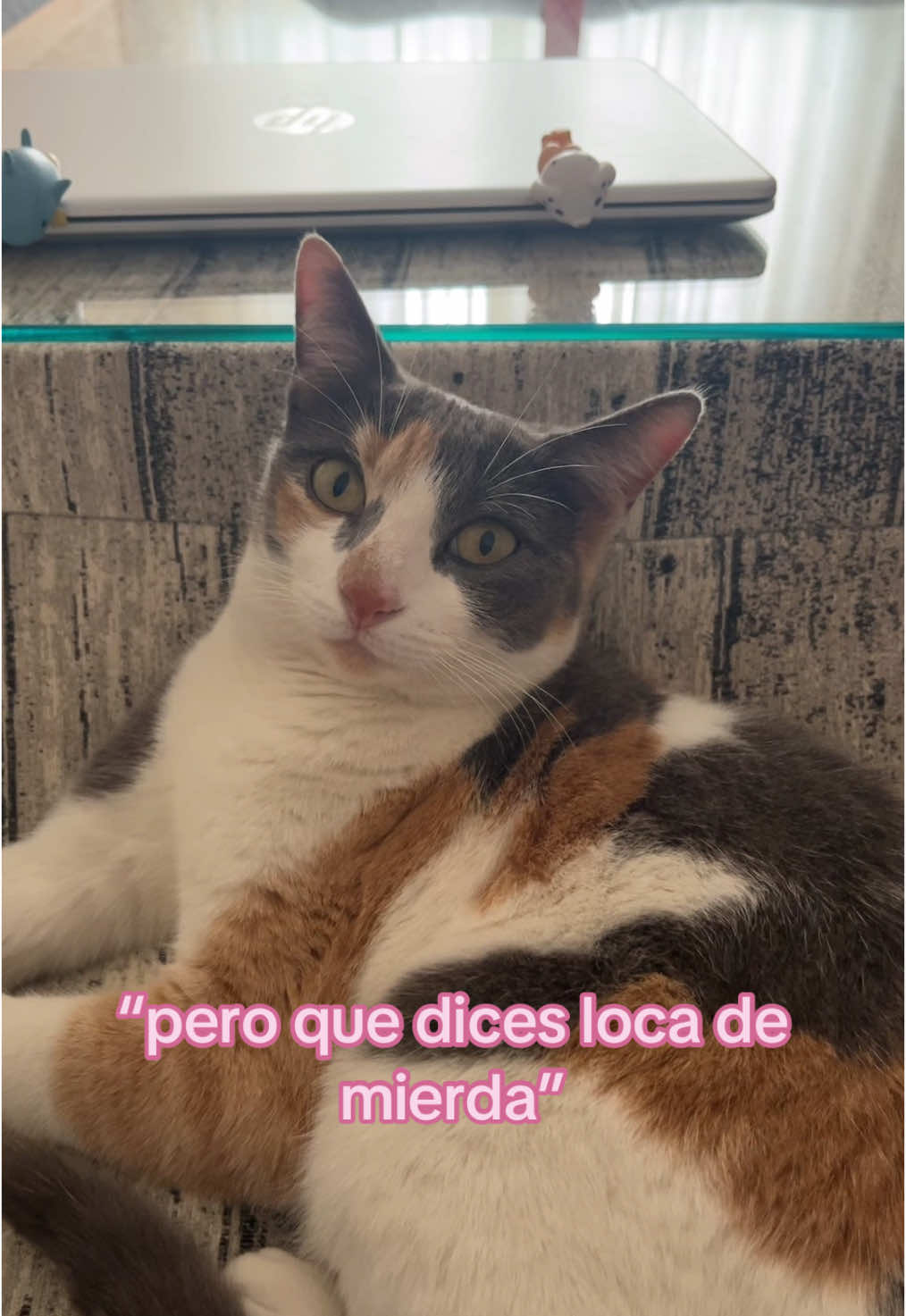 @arantxalinares20