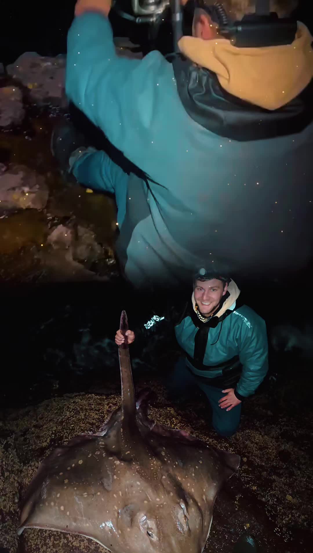 @dixonsdangling