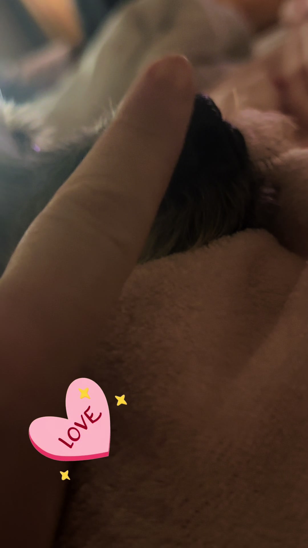 @Niki✨
