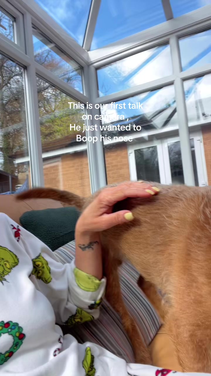 @👩🏻🦳❤️🐕
