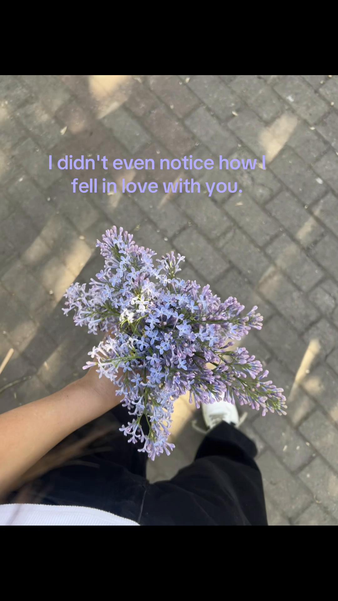 @🤍