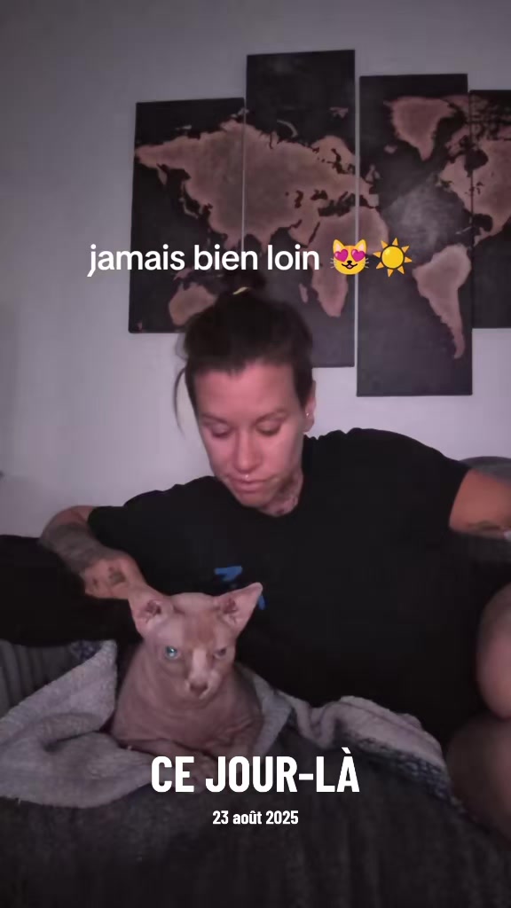 @Amy_dusoleildanstajournee