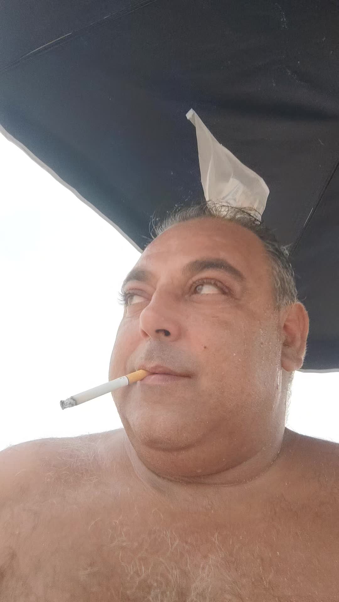 @teamsalvo
