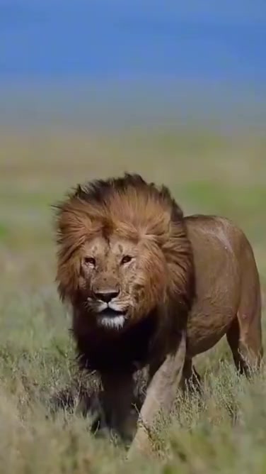 @UissoAdventuresAndSafarisLtd