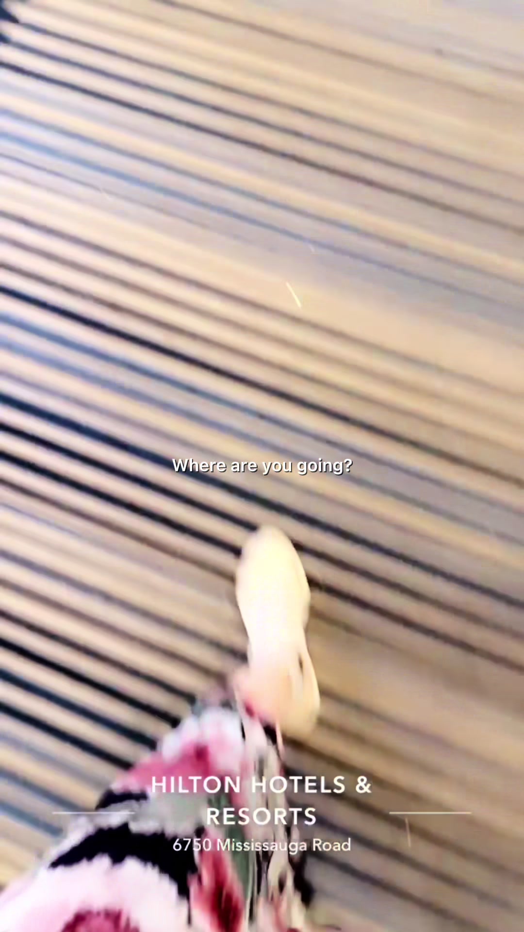 @Angel