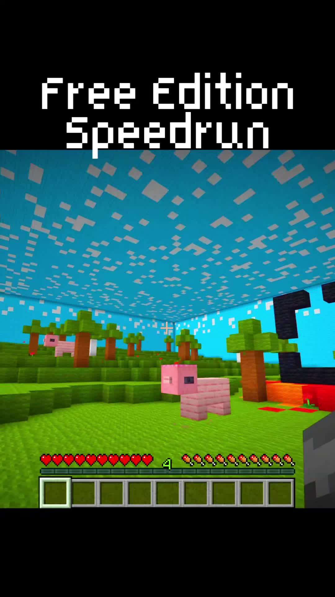 @MinecraftTipsAndTricks