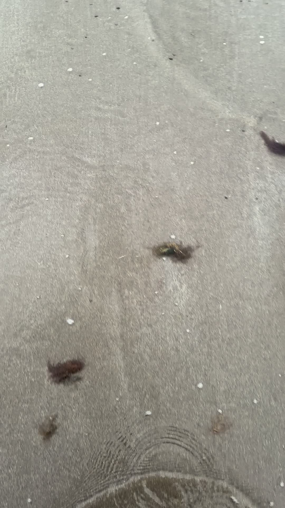 @💫💙Helen_9882🩷💫