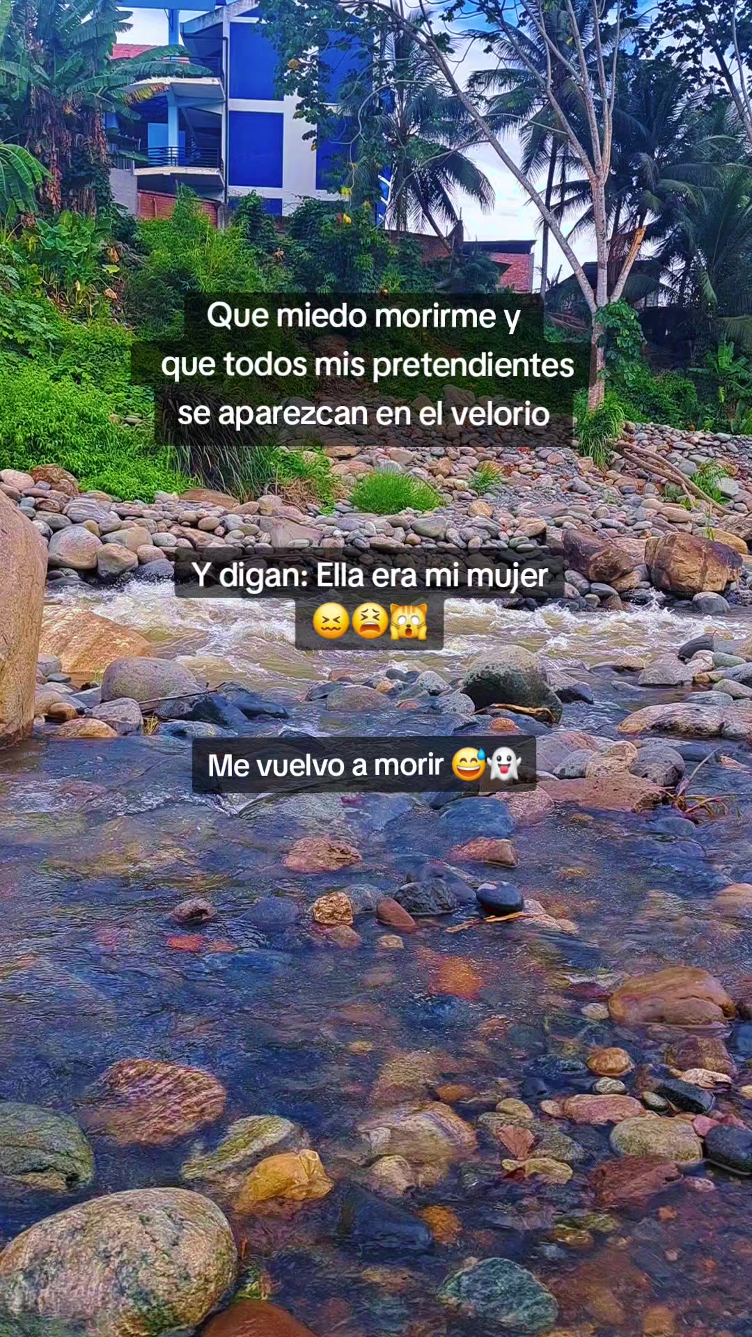 @🌷