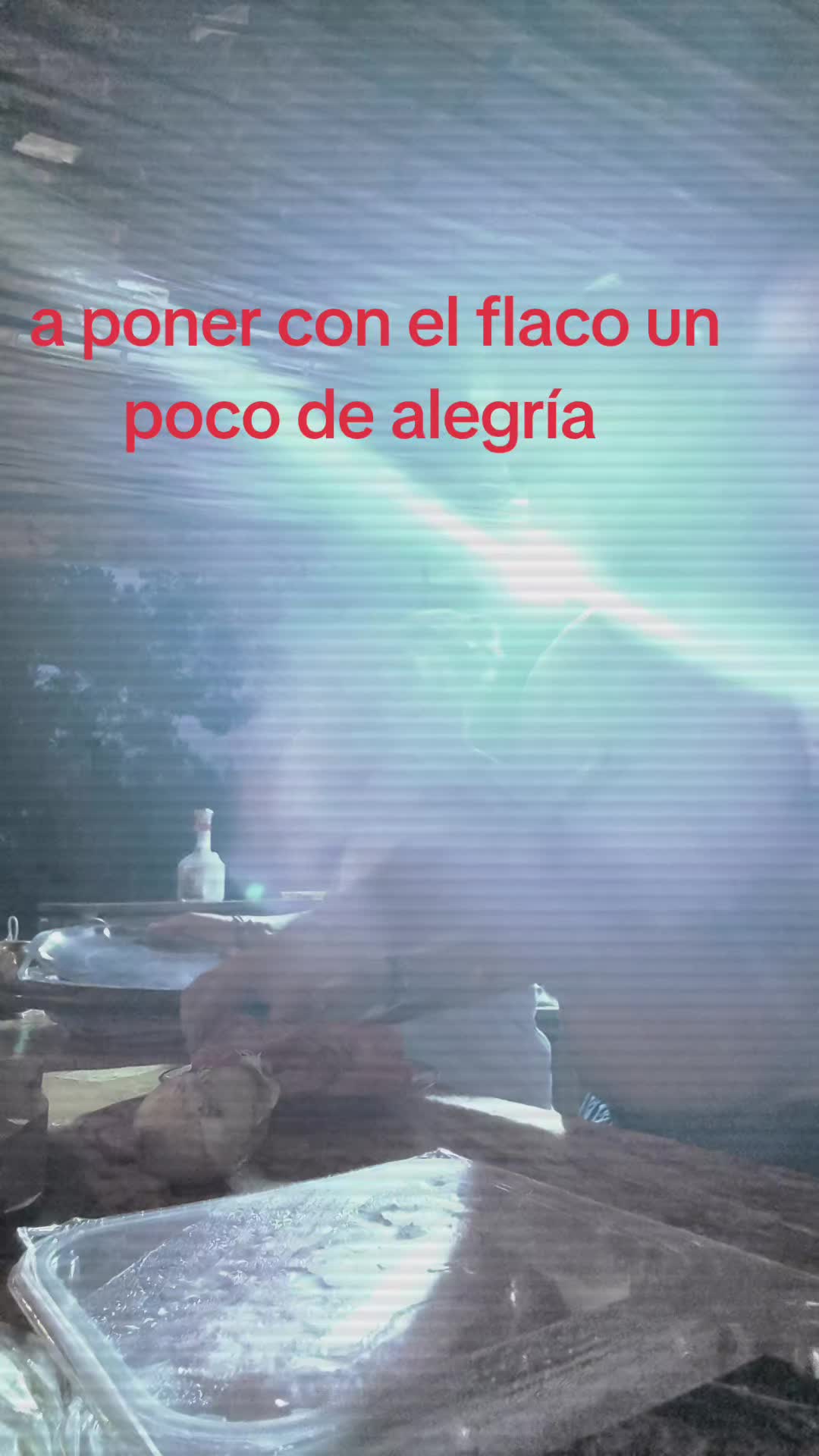 @Anitalaticktock
