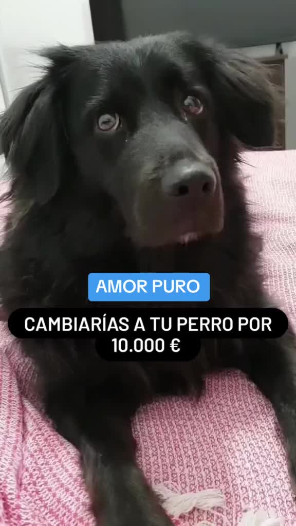 @esporteevida72