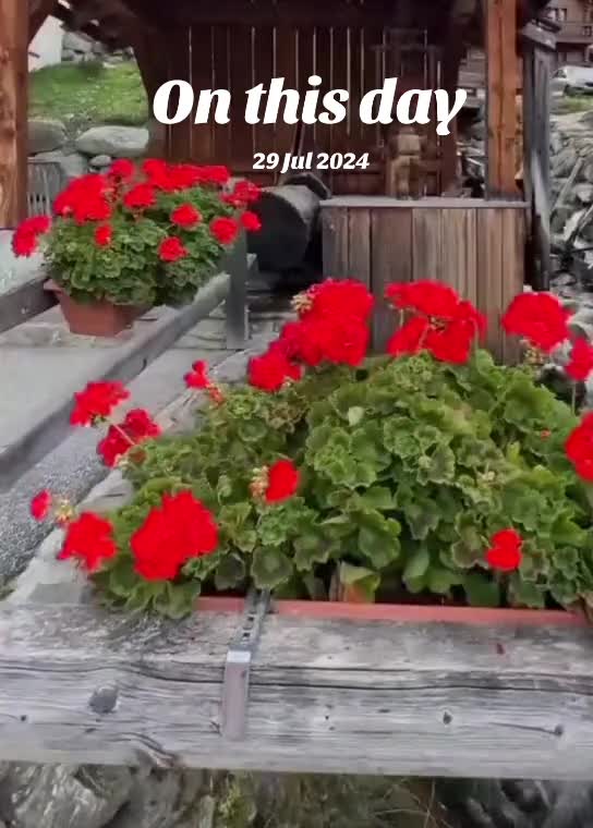 @🇬🇧AJ🇬🇧