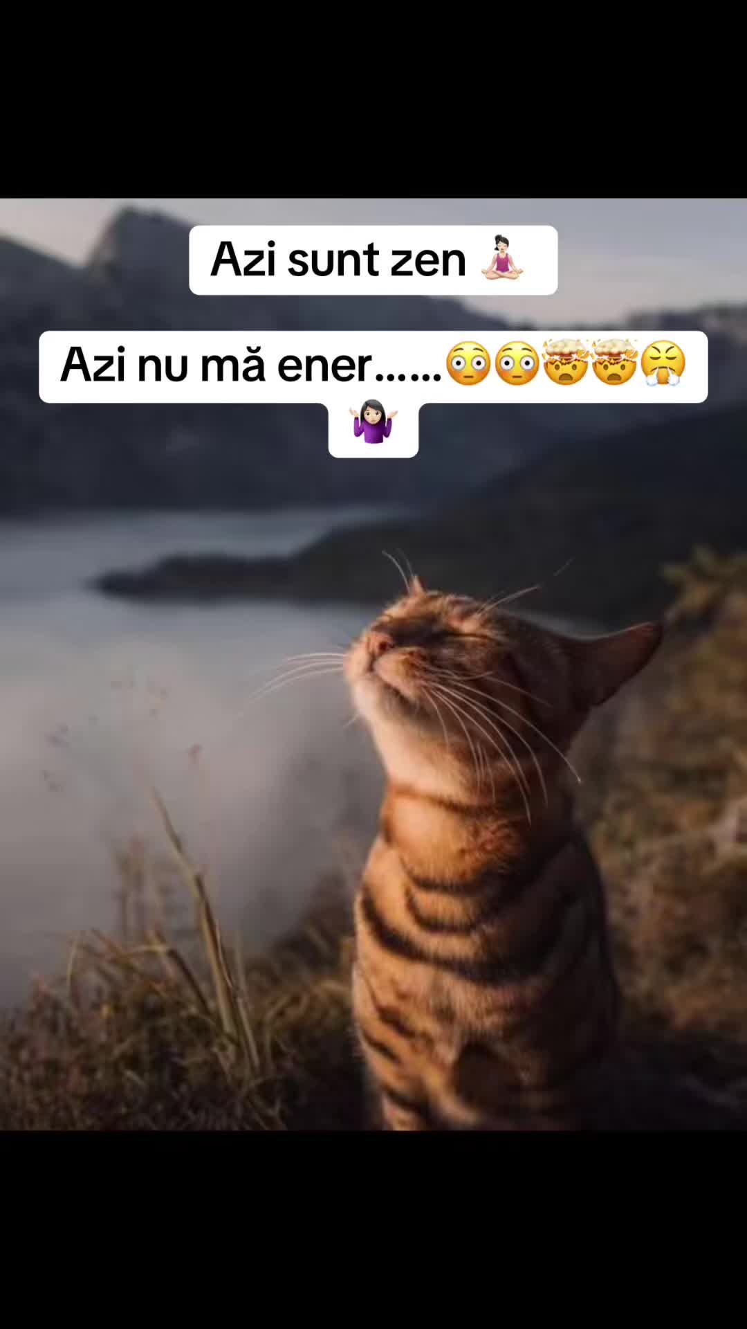 @Maria Mihaela