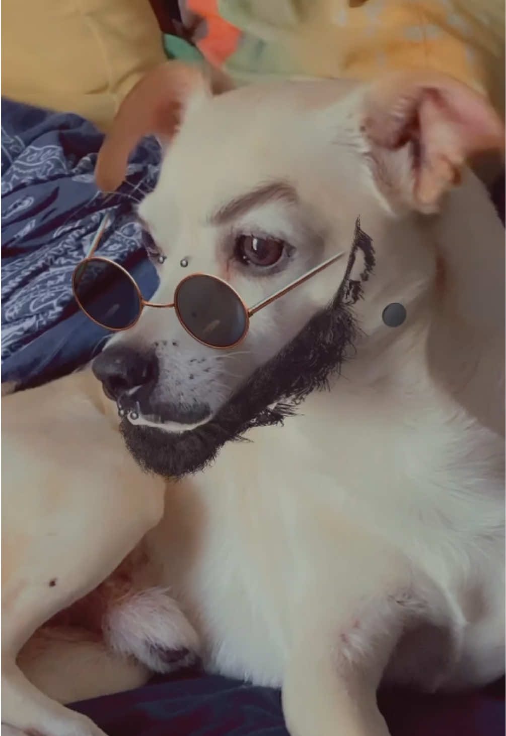 @𝕷𝖎𝖑 𝕭𝖑𝖚𝖊