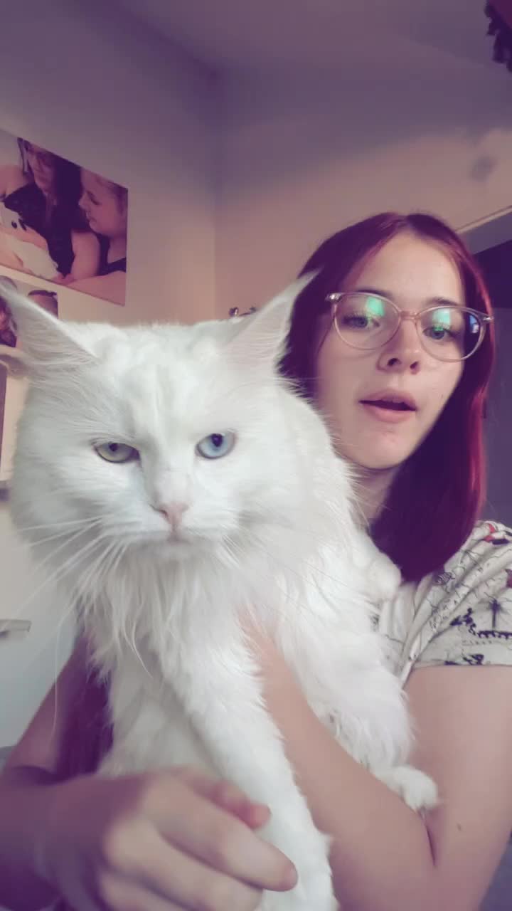@Linni👱♀️_Luna🐈