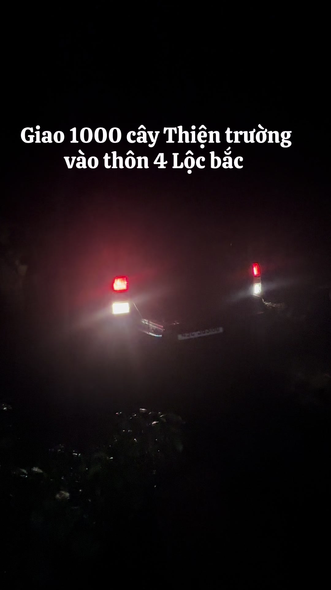@Thành Bảo Lâm