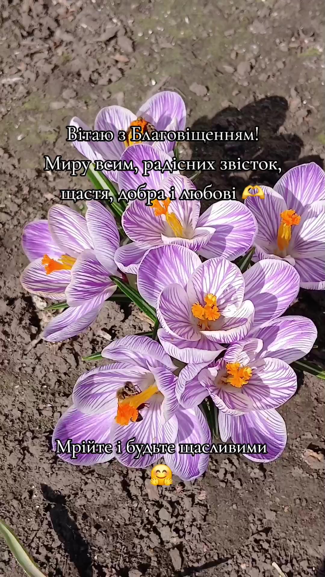 @o__oleksandr