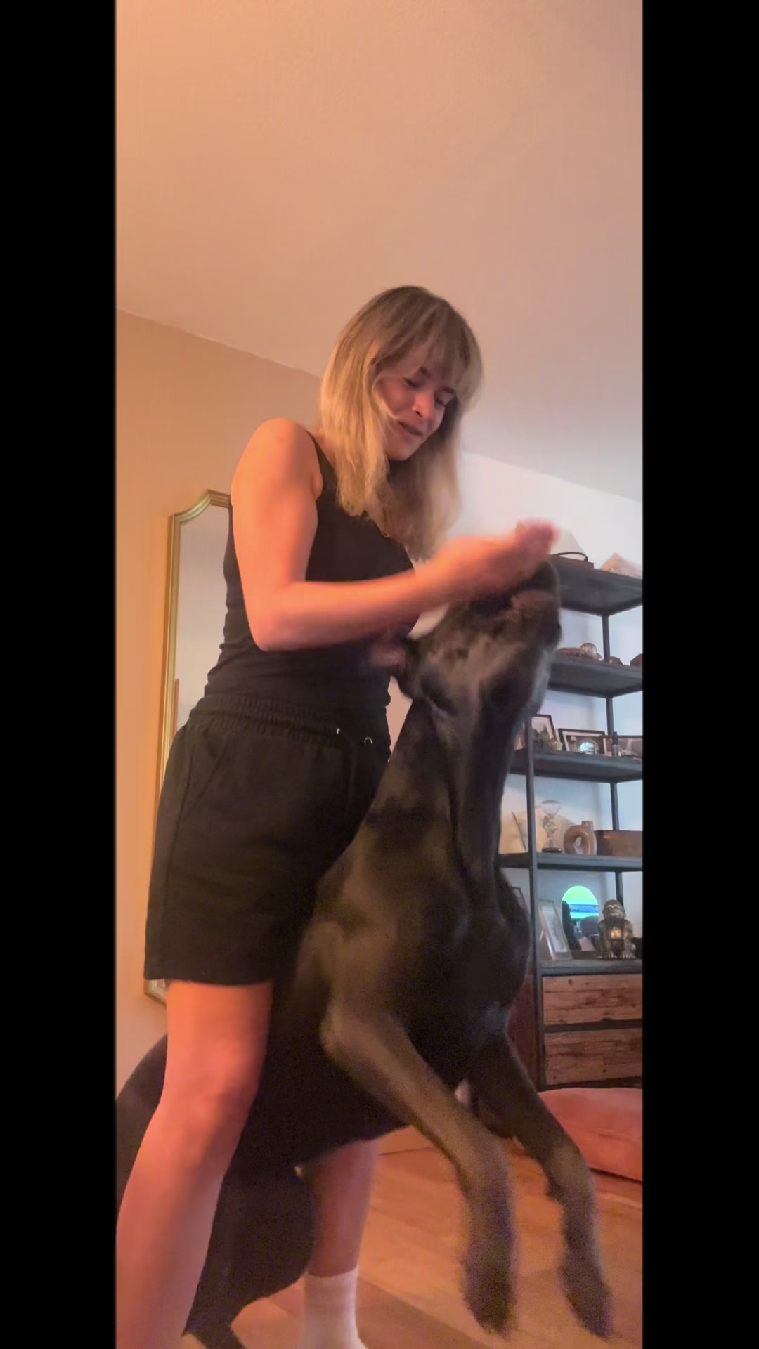 @Cane Corso Ayra 🐾