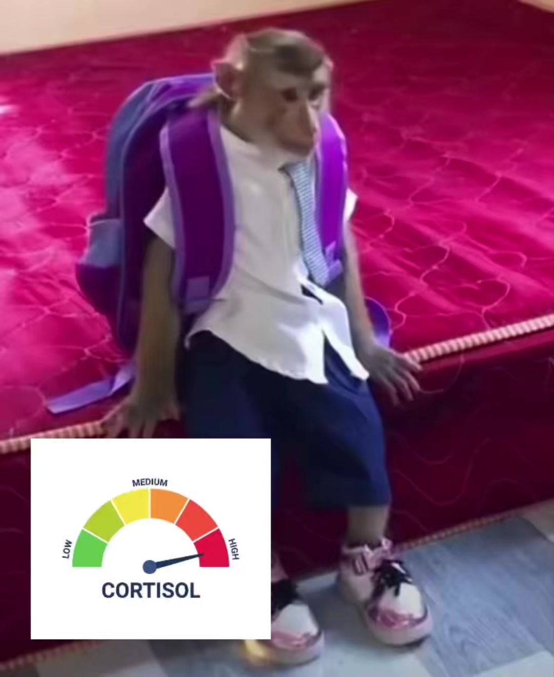 @Ꮯꪮᥒtᥲh.dᥲ.jᥙhh✮⋆˙