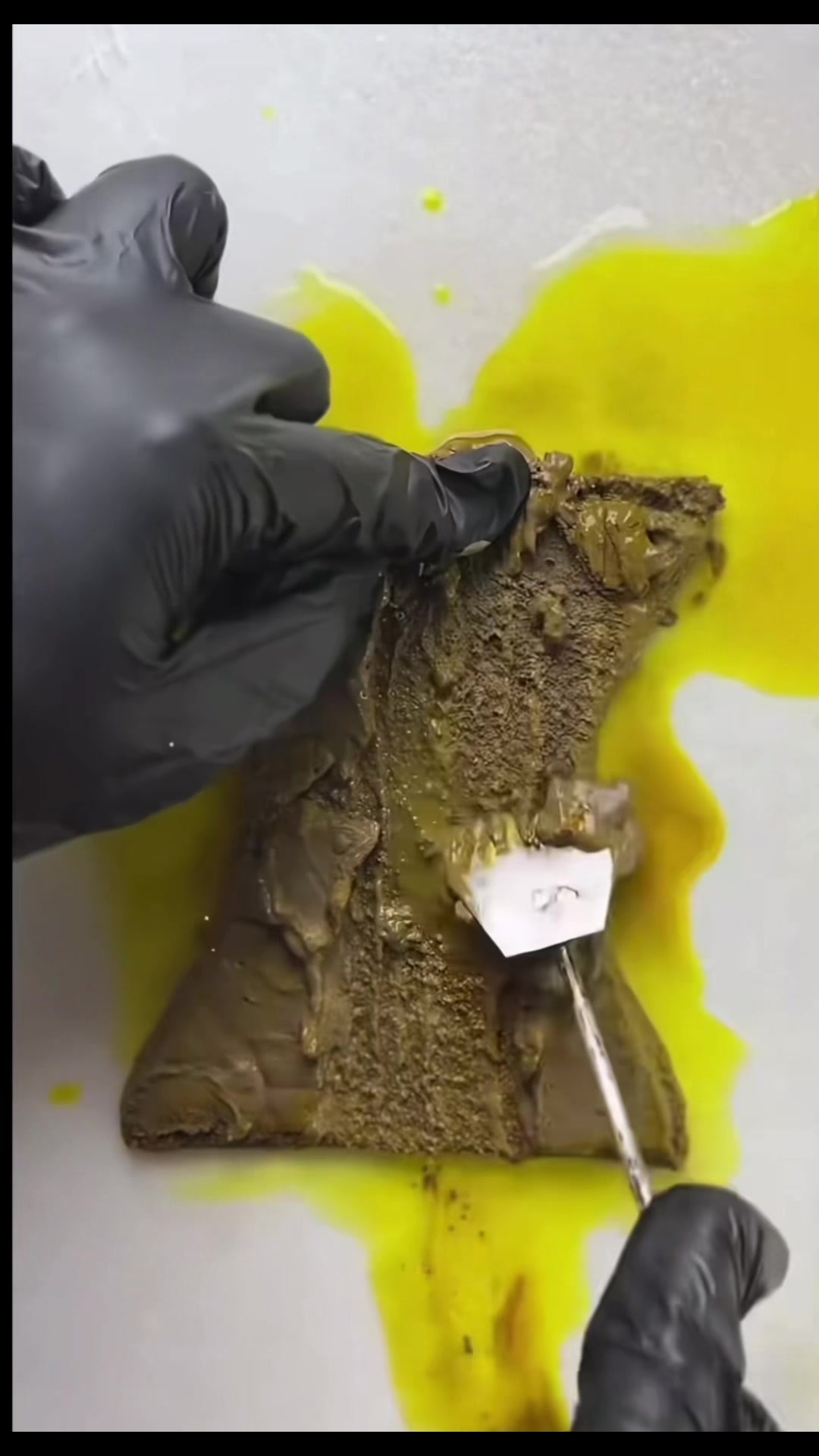 @grahamesgut