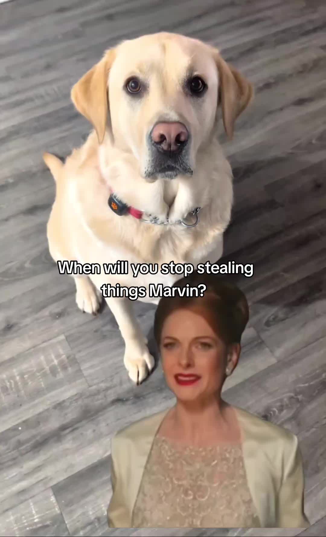 @Mini Marvin