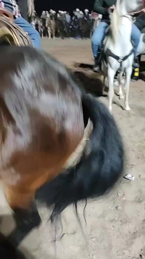 @Que bonito es lo 🐺 bonito🤠