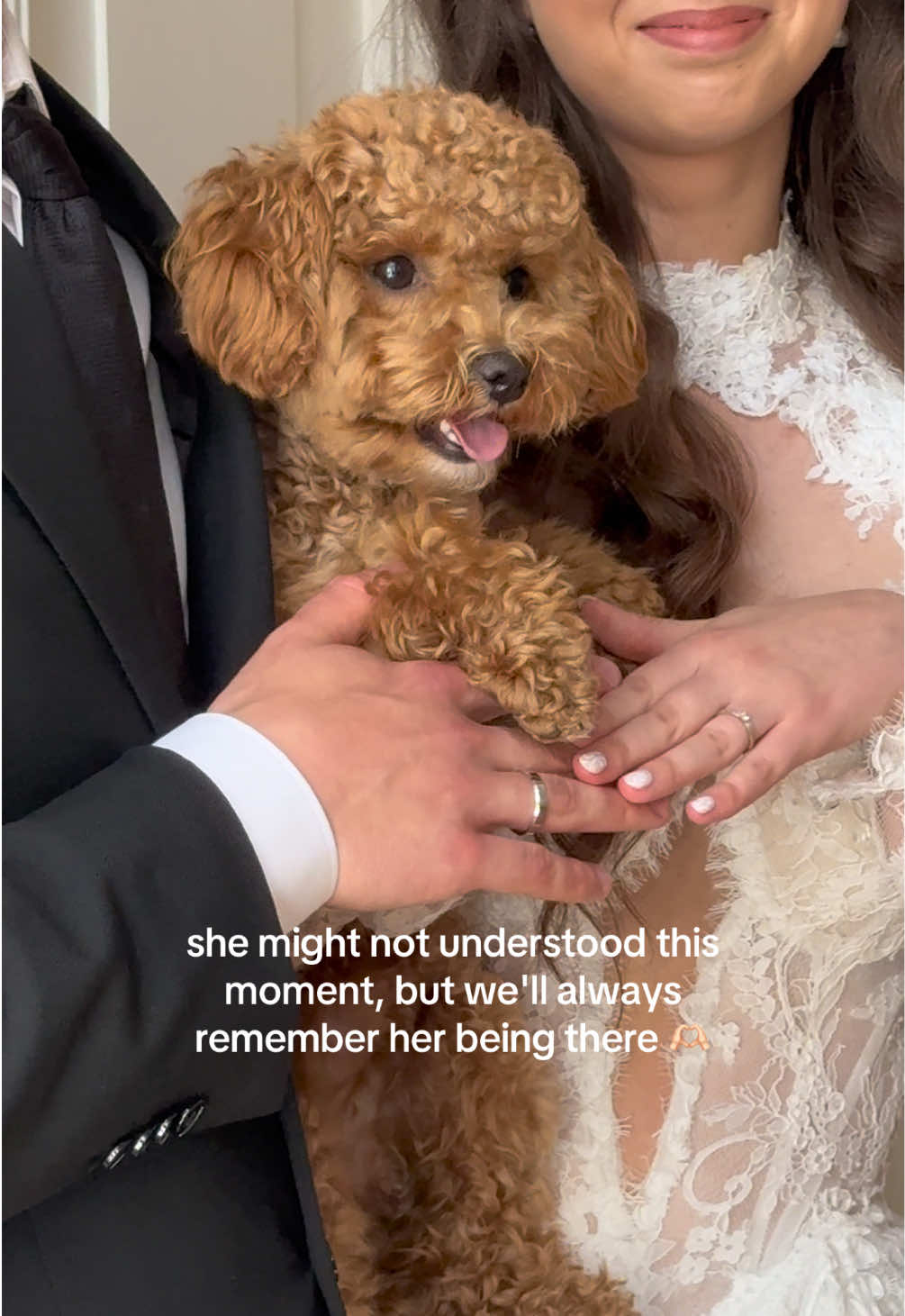 @Malibu Maltipoo 🎀