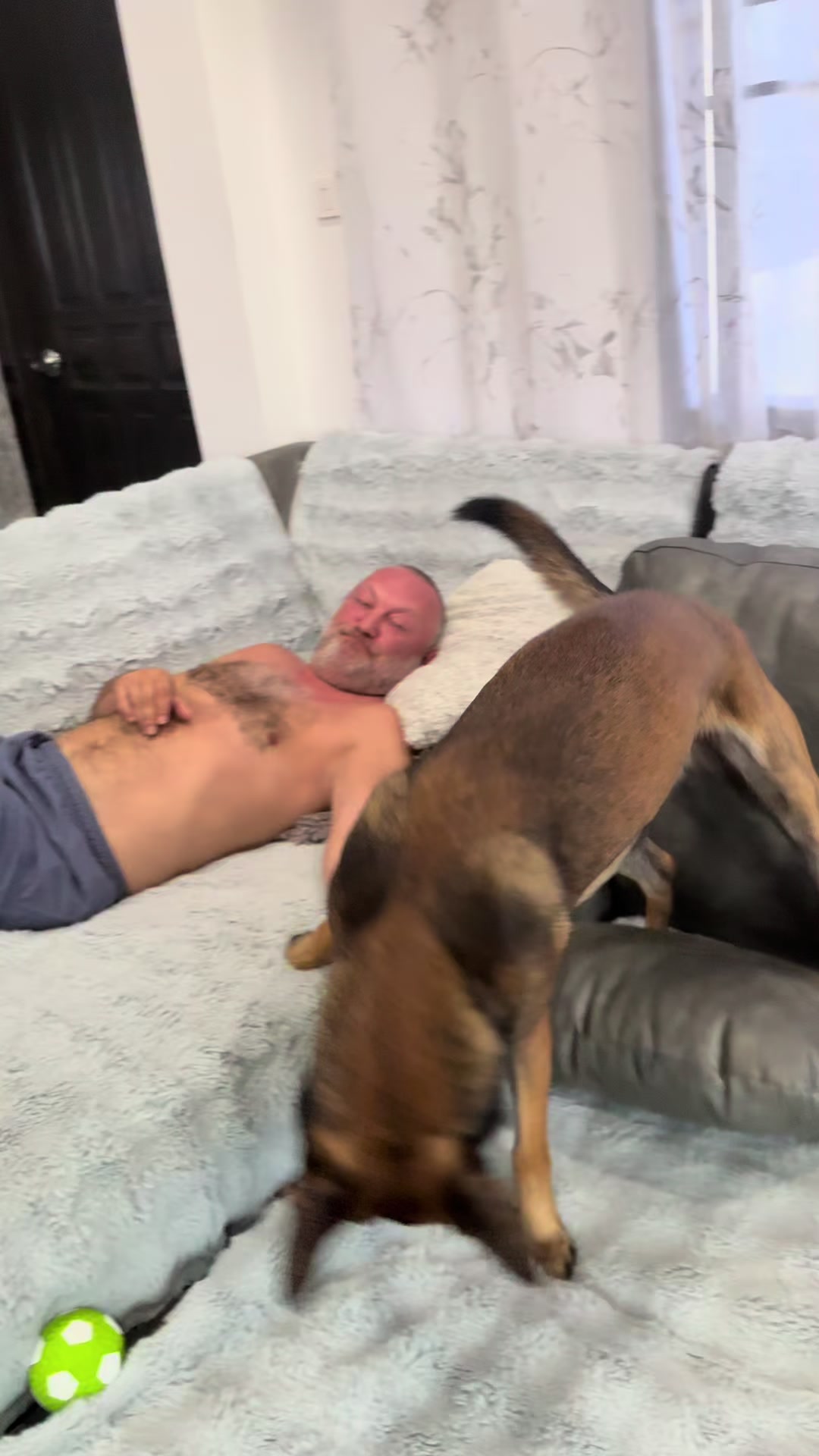@doglifethailand