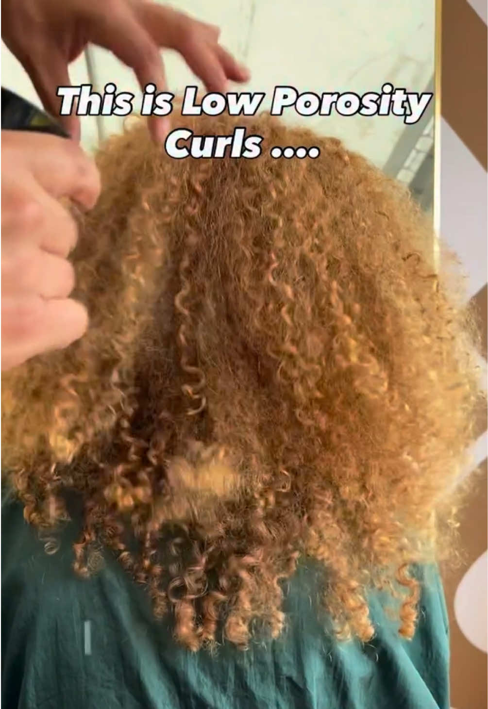 @The Curl Cutter ✂️