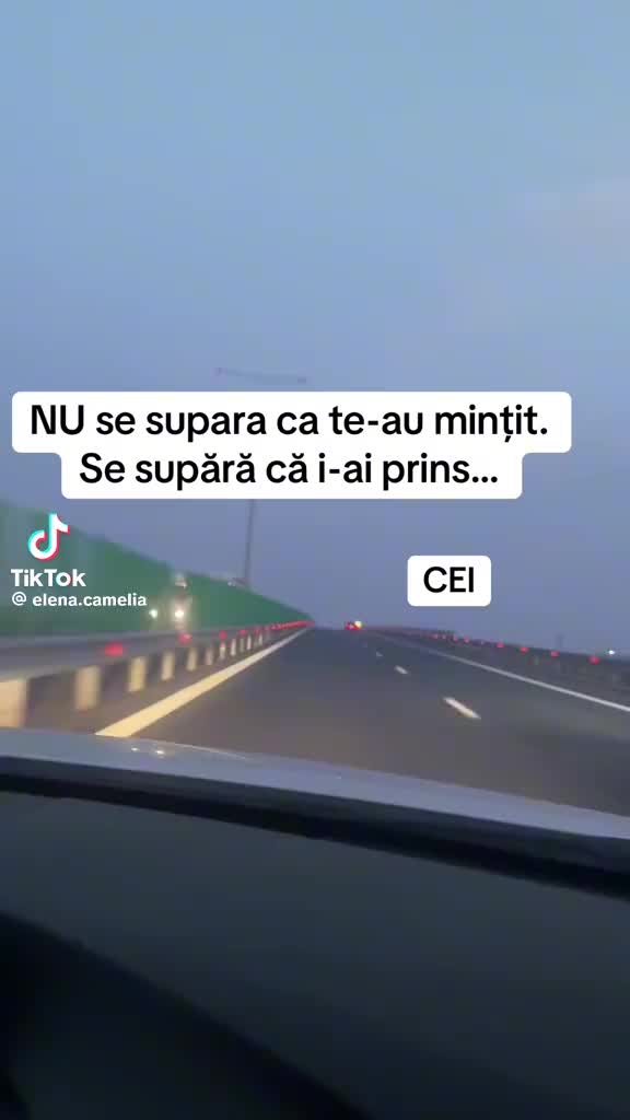 @Raluca Elena