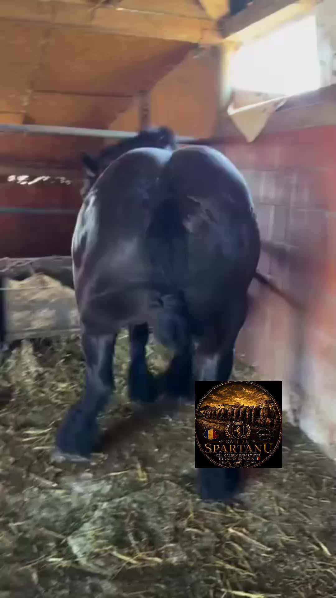 @🐴spartanu80🐴