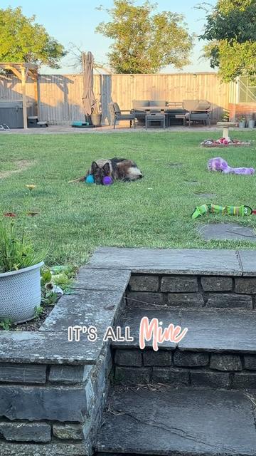 @TheGSDhubwithjennygould