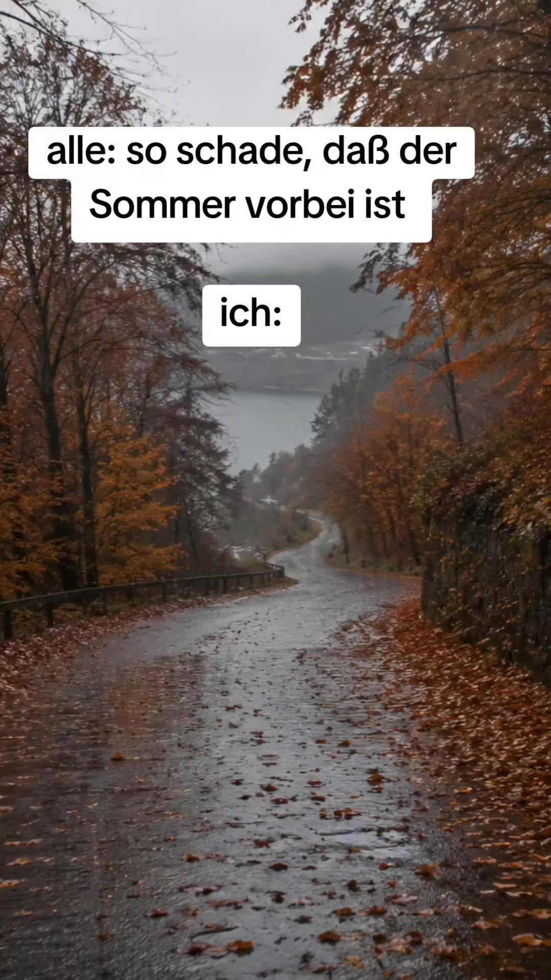 @teddys_tok_