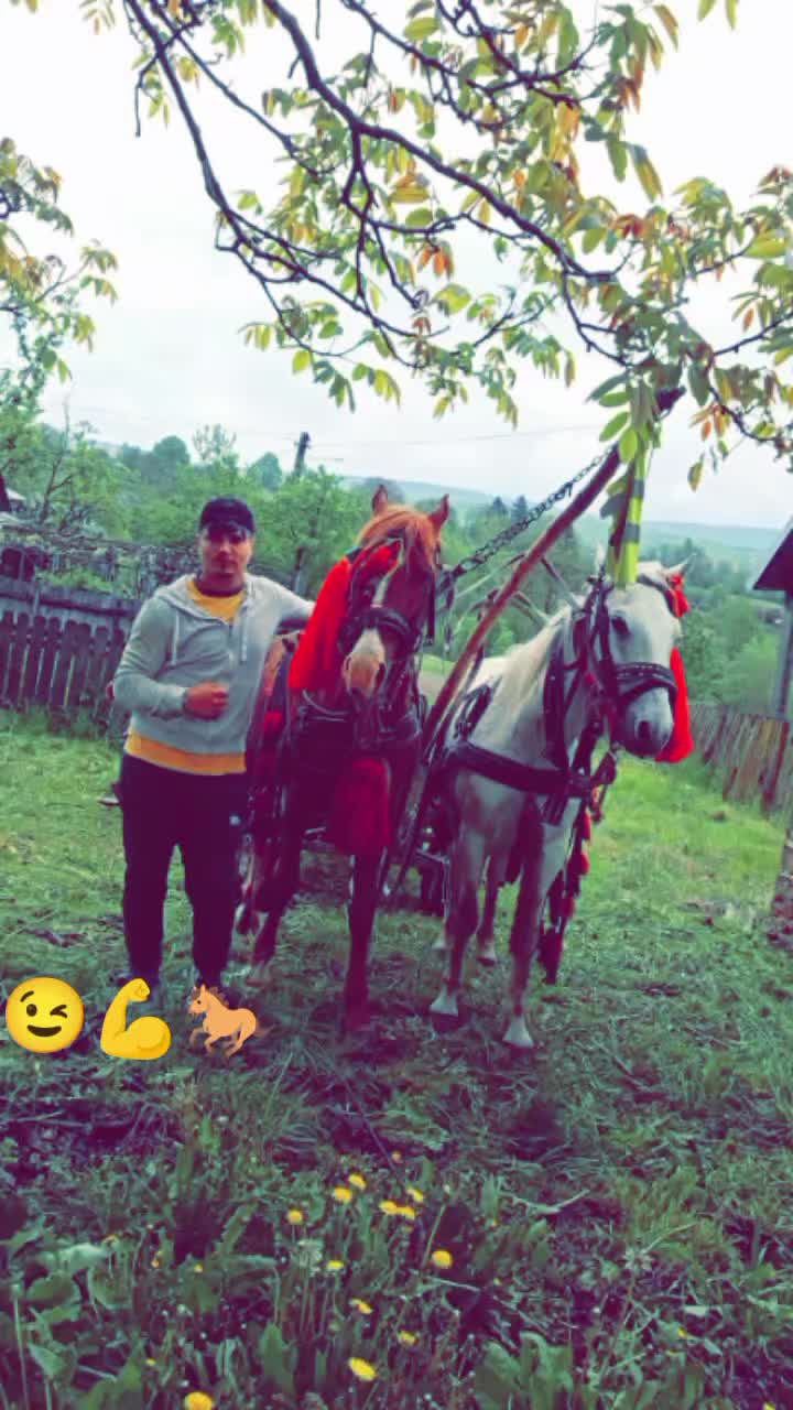 @Cătălin&hearts;️🧨