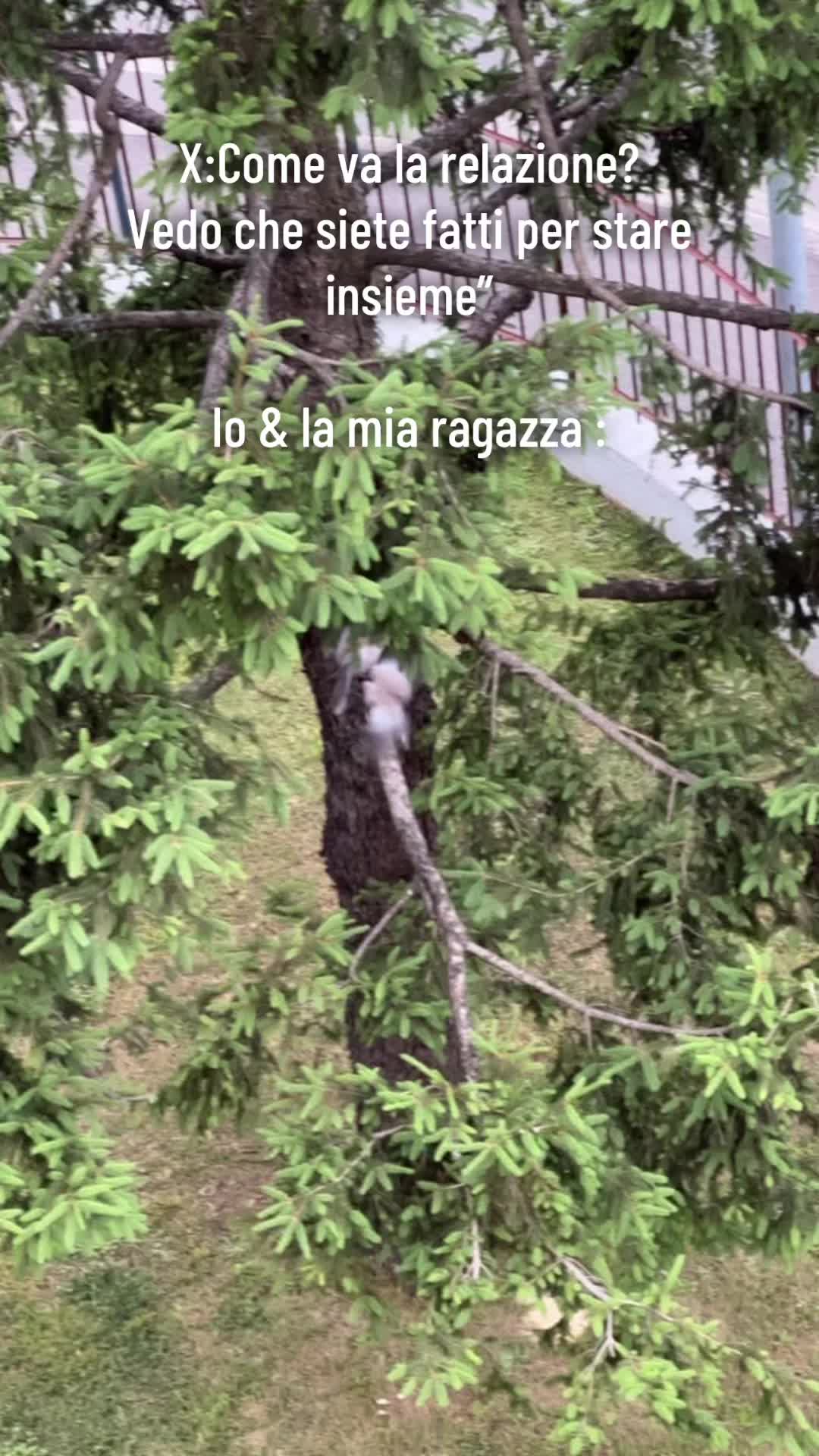 @David