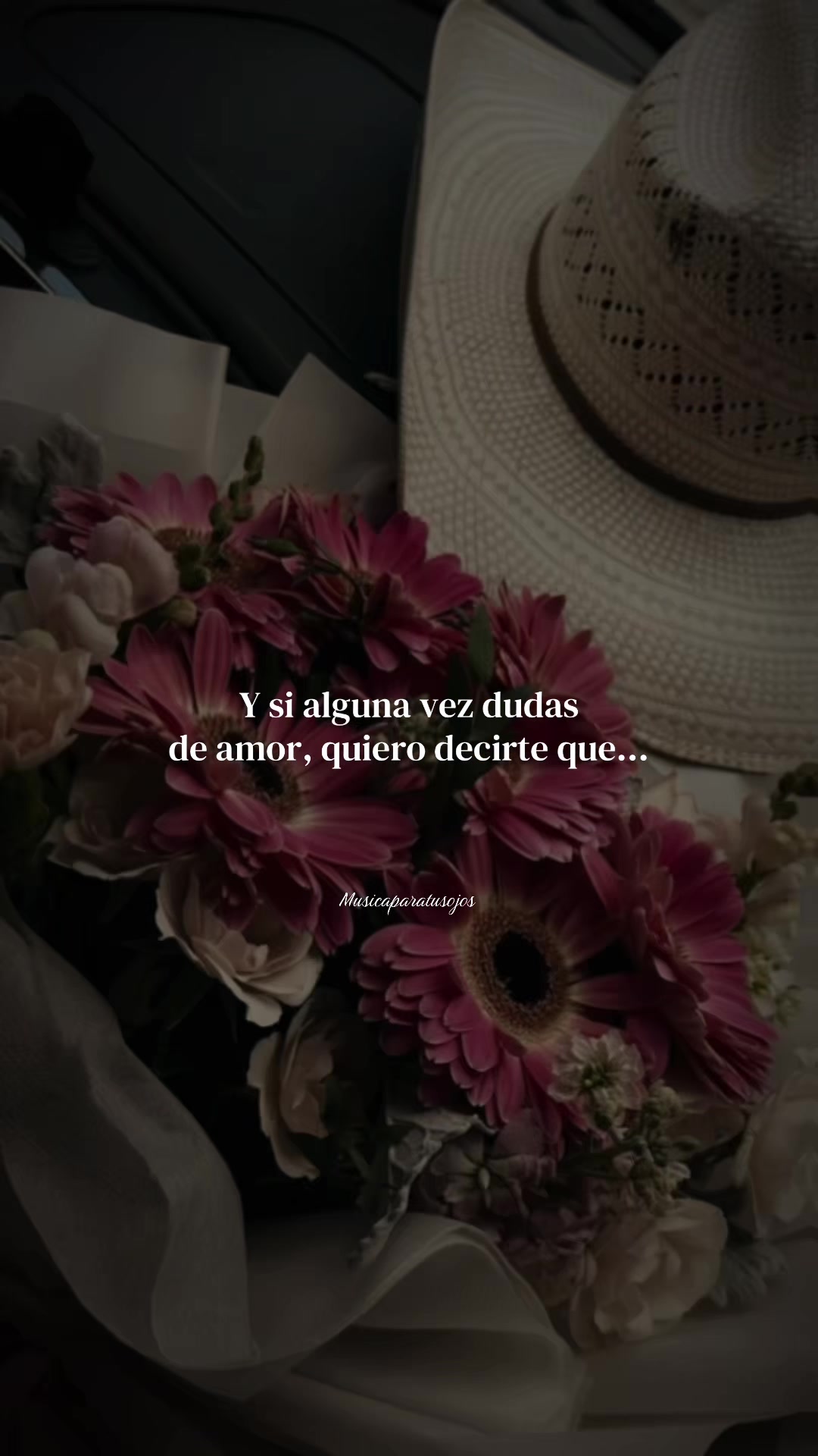 @Tus Rolitas