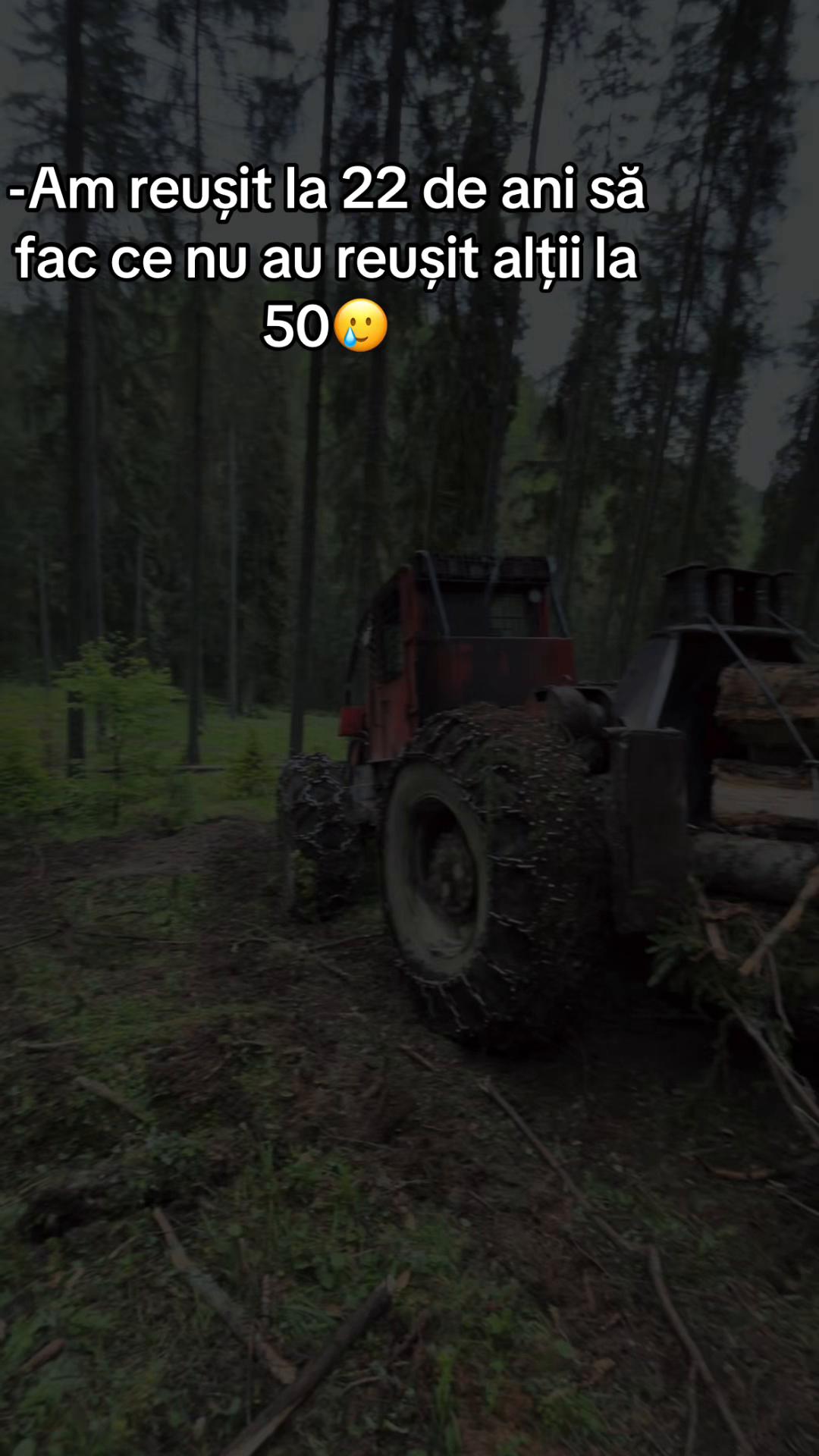 @Darius🌲