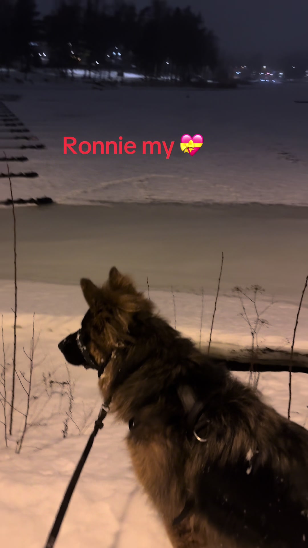 @Ronnie