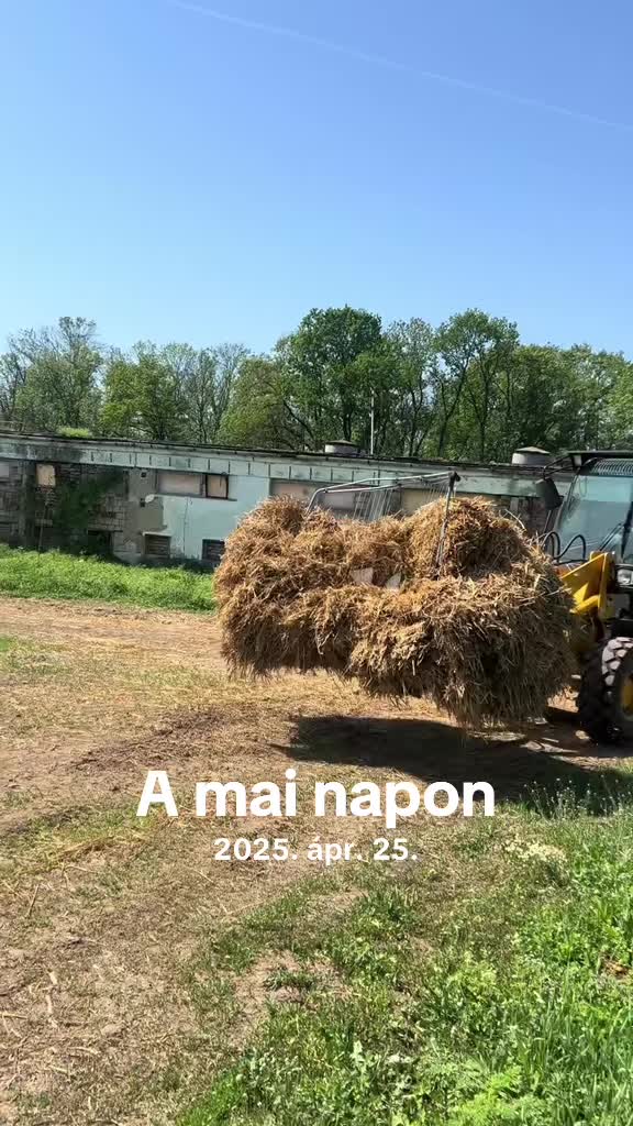 @Szolnoki Egon