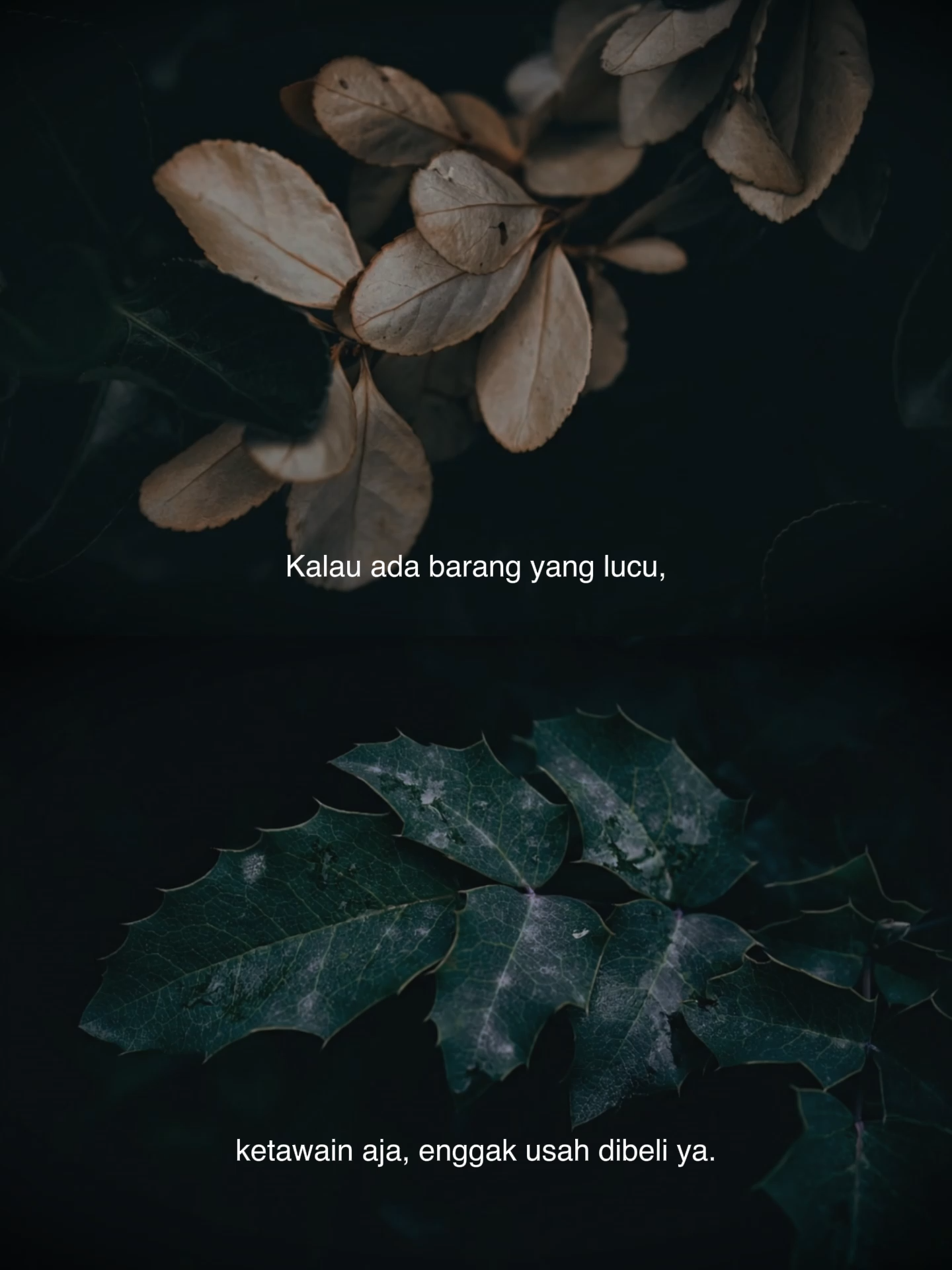 @Yang Terdalam