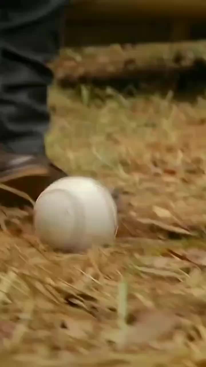 @E.