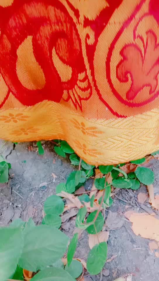 @Ammuvino