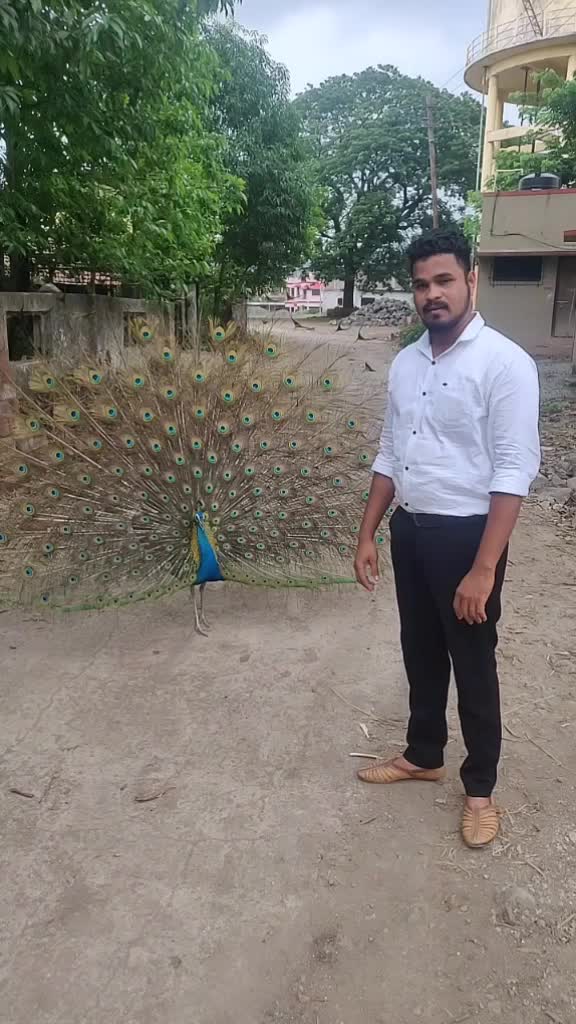 @Sagar Patil