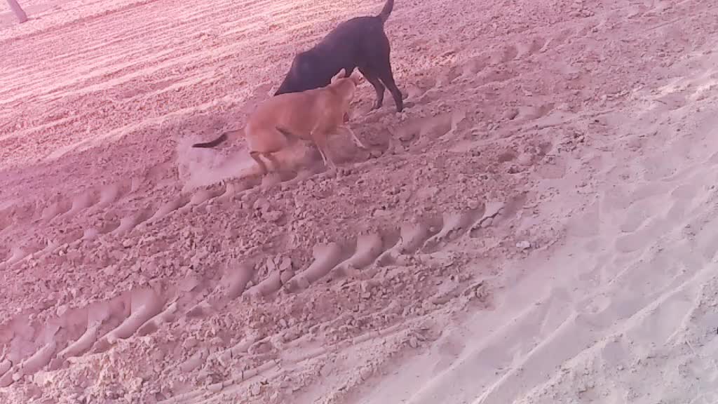 @Love you N.m Darling