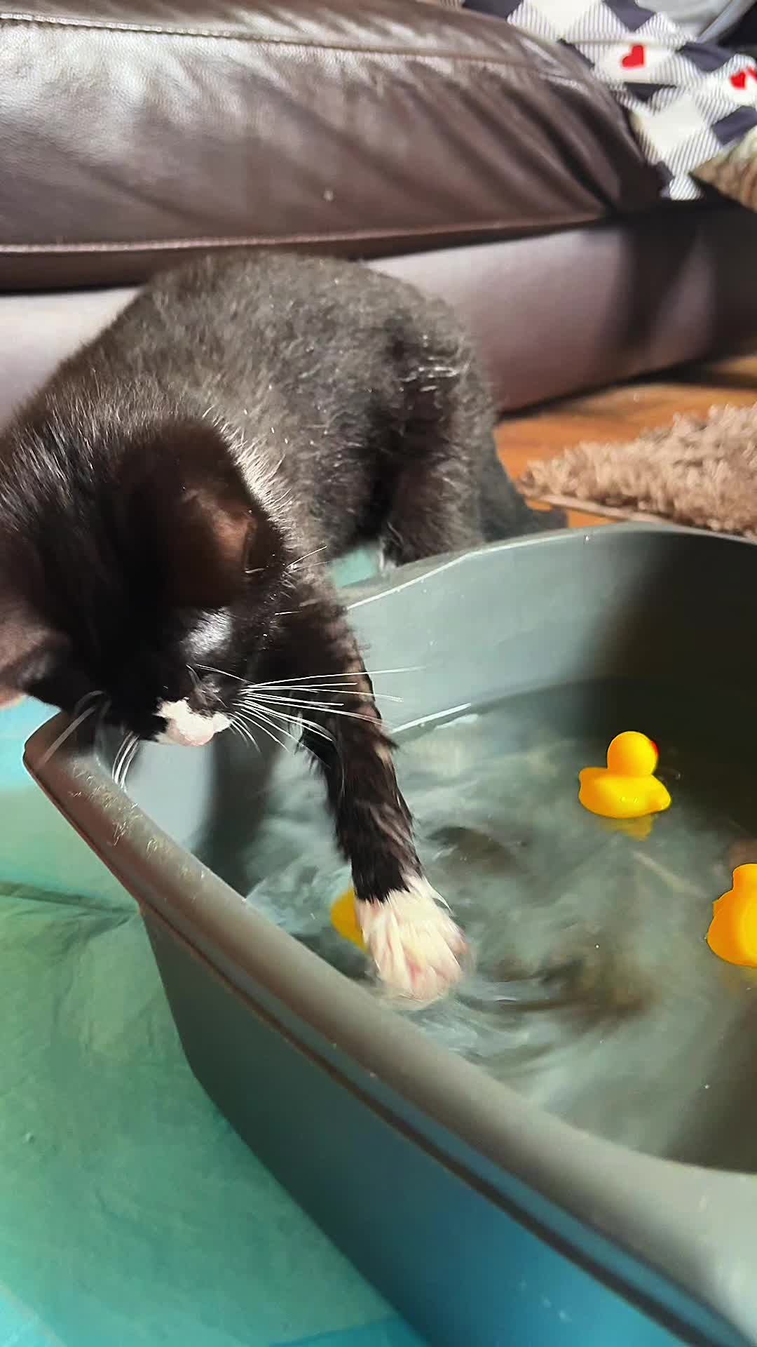 @Chloe Buckley