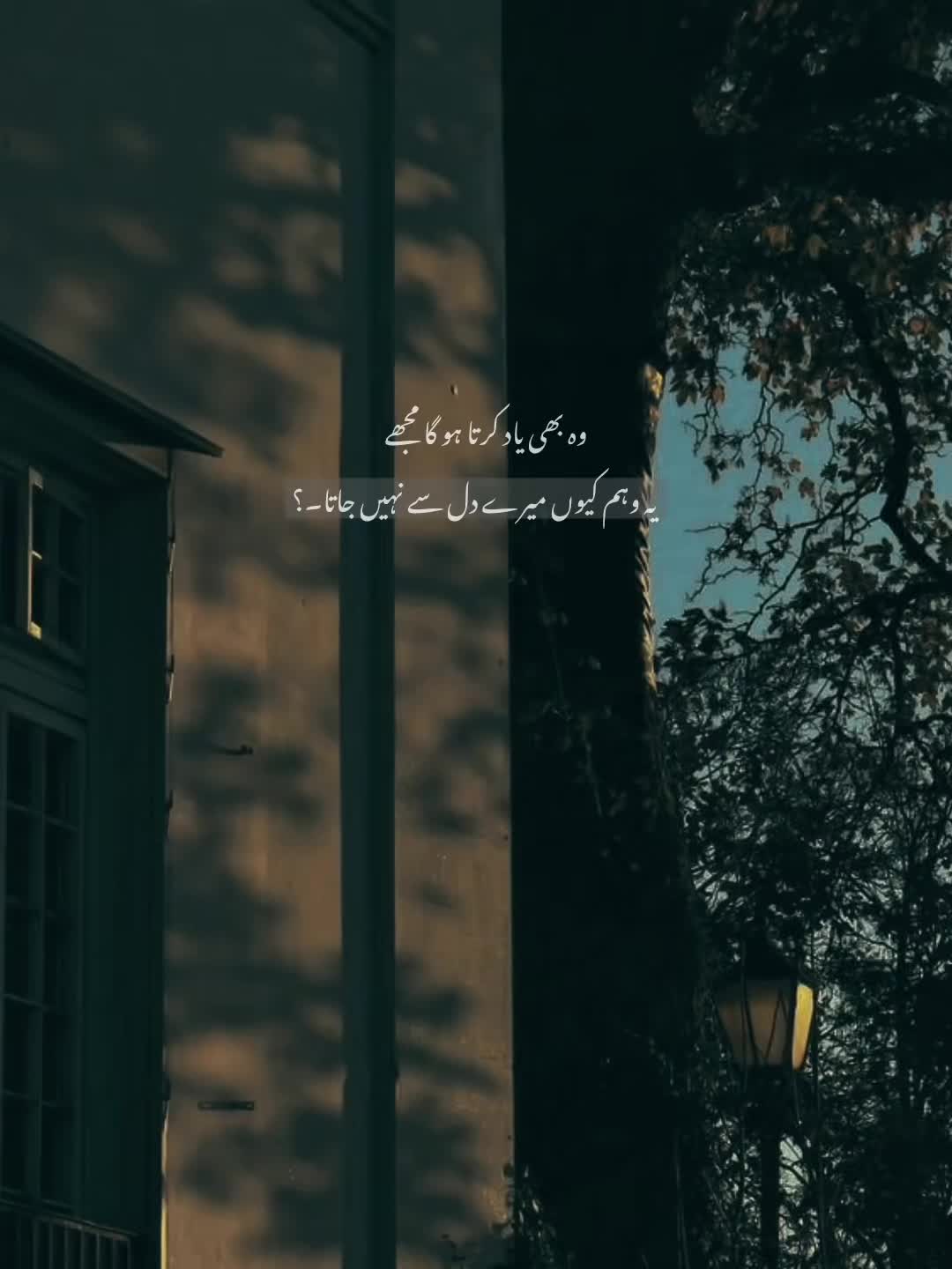 @𝐓ʜᴇ 𝐌ᴏᴏɴ🖤