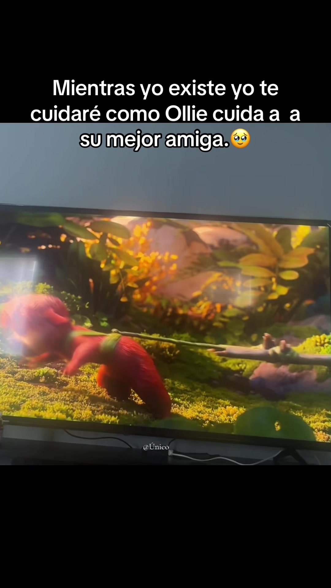 @Ú𝚗𝚒𝚌𝚘 ✔︎