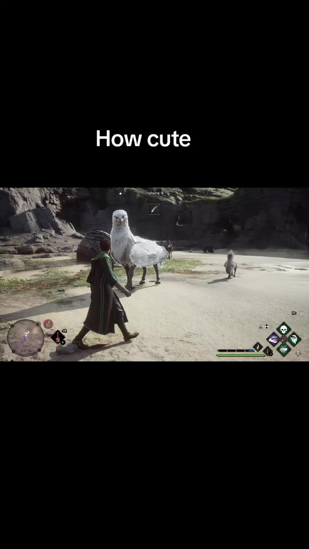 @random videos